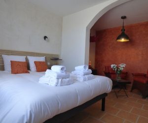 mas-asvin-chambre-rhino2