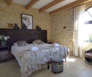 mas-asvin-suite-lion2