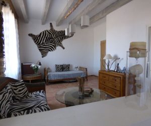 mas-asvin-suite-zebre2